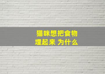 猫咪想把食物埋起来 为什么